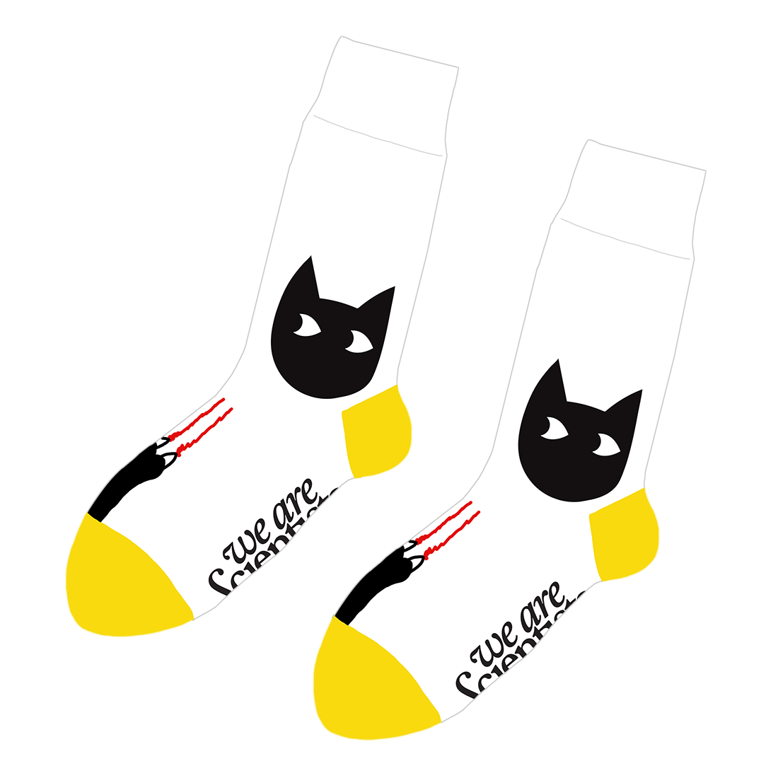 Cat Got Your Foot (Socks)